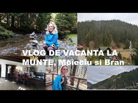 VLOG DE VACANTA LA MUNTE, Moieciu, Bran si un pic de Sibiu