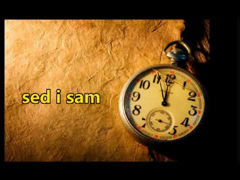 SLOBA RADANOVIC - NA DANASNJI DAN- TEKST