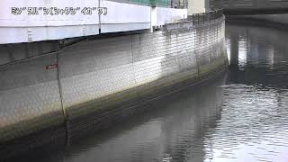 溝田橋映像監視局