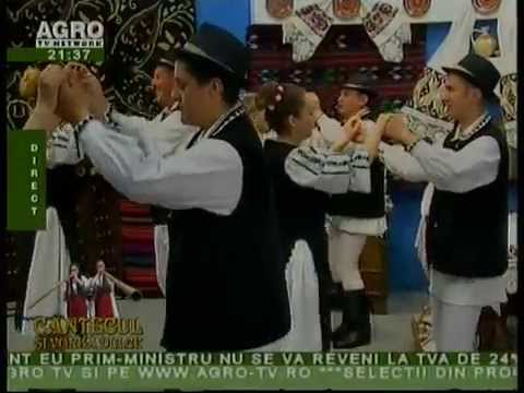 ANSAMBLUL RITMURI ZARANDENE - Suita de dansuri traditionale