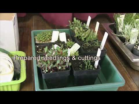 WGAP Propagation Day - 2 . Hall setup