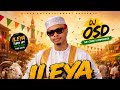 DJ OSD Ogbajiji Ileya Street Carnival Mix 2026 Afrobeats Amapiano Street Hop