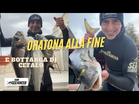 GROSSA ORATA A FINE PESCATA! L'EMOZIONE DELLA PESCA IN APNEA 🎣🏆