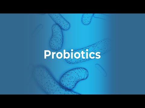 New Image International - Smoothie:Probiotics