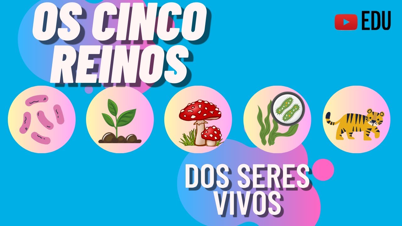 Os Cinco Reinos dos Seres Vivos - Características e Classificação | Animação