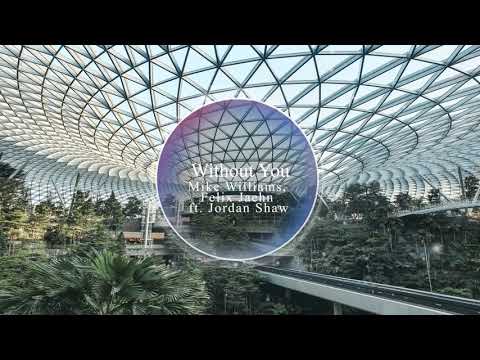 Mike Williams, Felix Jaehn - Without You ft. Jordan Shaw