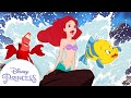 Best Of Ariel Her Animal Friends The Little Mermaid Disney Princess