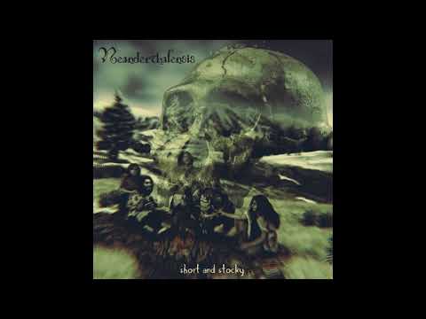 Neanderthalensis - Short And Stocky (2020) (Ambient, Neanderthal Ambient, Fantasy Synth)