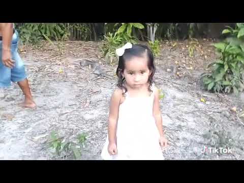 Vida do interior Santa Luzia MA Brasil 