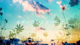 ネザーランドドワーフ / 可不