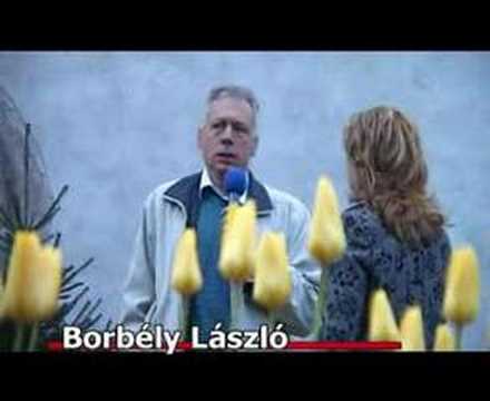 Borbély László adevarul din minciuna