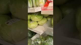 ミュンヘン暮らし｜中華食材と日用品を探しに近所の買い物散歩案#ミュンヘン生活 #ヨーロッパ暮らし #海外生活 #ドイツの日常 #中華食材店 #海外スーパー #日常Vlog  #ドイツ暮らし