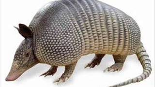 Lords Of The New Church- Little Boys Play with Dolls- Industrial Remixby Nebula Nova