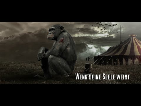 Uli Holzberger Trio "exxtra" - Wenn deine Seele weint