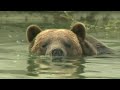 Detroit Zoo Soft Reopening Monday Before Opening To Public Fully