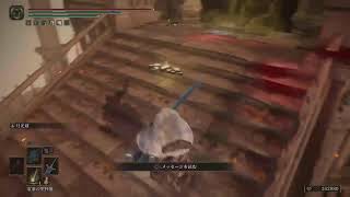[ELDEN LING 月光ビルド]#23 どうやらラスボスに近いらしい