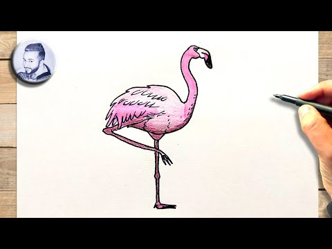 Comment dessiner un flamant rose facile à dessiner