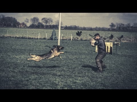 Hasan Ja Na Ka - protection 4/2018