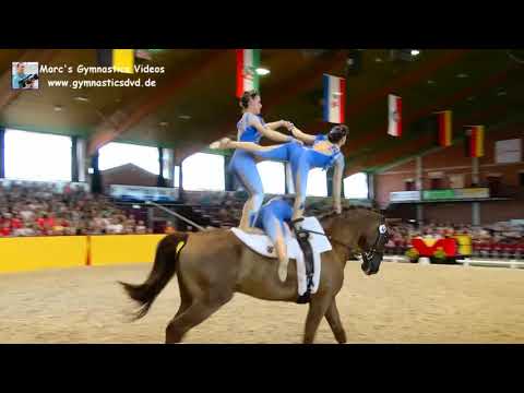 Schwegenheim 1 (RLP) - Gruppen 11 - DMV Alsfeld 2019