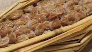 納豆星人 のライブ ストリーム