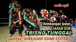 Download lagu KEMBANGAN LAWAS JARAN DOR TRISNO TUNGGAL audio mp3 mp3