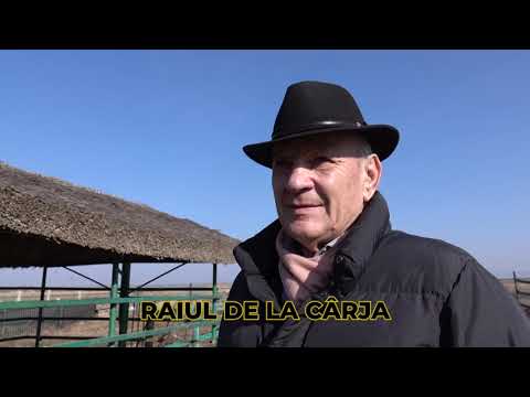 🌞 REPORTAJ- RAIUL DE LA CÂRJA