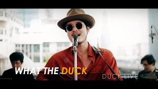 Download lagu Duck Live 95 - ข้างเดียว - Chart Suchart mp3 Download lagu Duck Live 95 - ข้างเดียว - Chart Suchart mp3