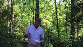 Lake Keowee Real Estate Video Update July 2025 Mike Matt Roach Top Guns Realty
