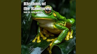 Rhythms of the Rainforest