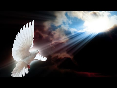 Vivre ou faire la Divine Volonté.