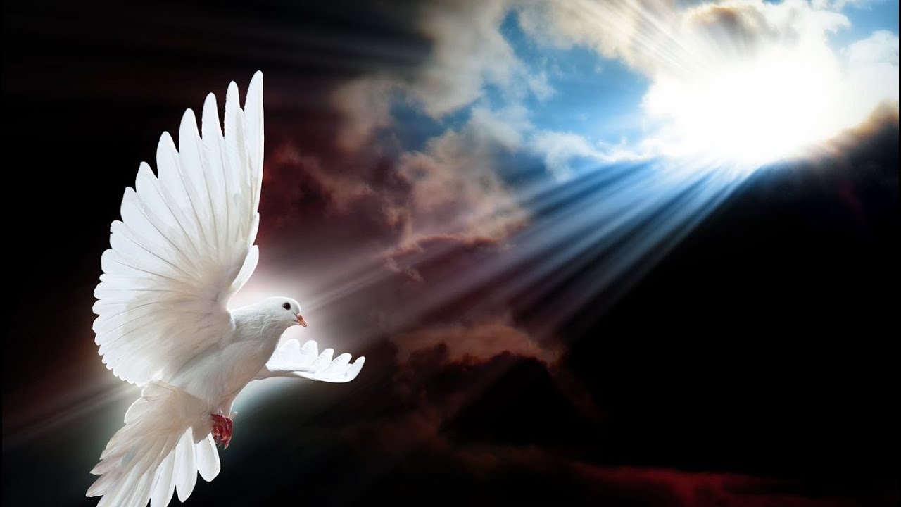 Vivre ou faire la Divine Volonté.