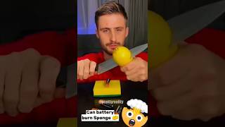 Can a battery burn sponge?!! 🤔🍋🔋 #shorts #youtubeshorts #handyhacks