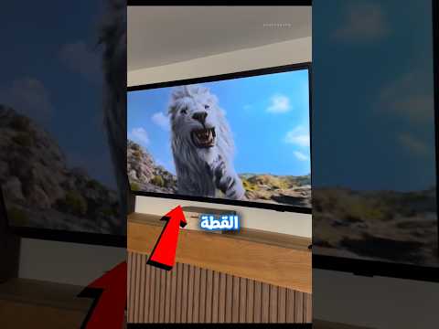 القطة دي عاوزة تقلد موفاسا🥹💔
