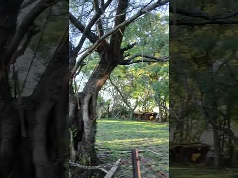 Zona Norte. Colonia Avellaneda.  Paraná Campaña. Entre Ríos 5