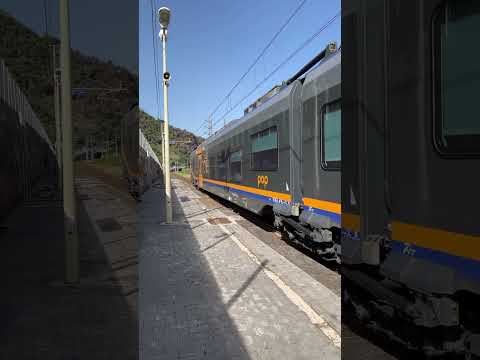 Arr. e part. Regionale e transito Italo #trenicalabria #treniintransito #treni #fs