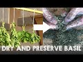 How To Dry And Preserve Basil