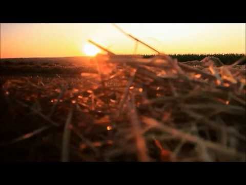 MATZINGHA - spätling (official video)