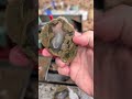 What a beautiful and unique Thunderegg 🤯❤️🤯