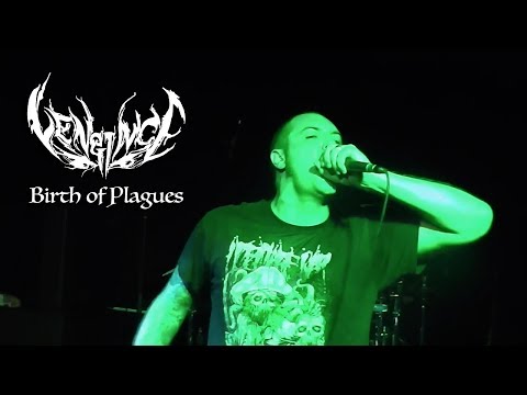 Vengince - Birth of Plauges (Live)