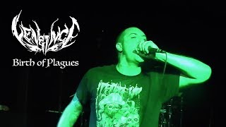 Vengince - Birth of Plauges (Live)