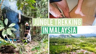 Jungle Trekking in Malaysia (Giant Leech Attack)