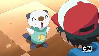 Best Wishes  Oshawott, the cutest drummer