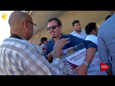 Menton 2017 - Stallions Championship