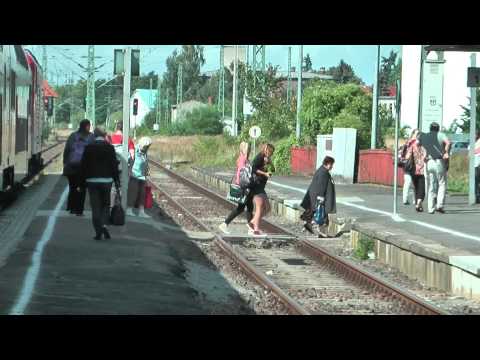 Guaia Guaia - Wahlwerbespot zum Bundesvision Songcontest 2013