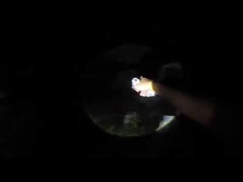 A lenda do apicultor 2 parte/5 caçadores de lendas