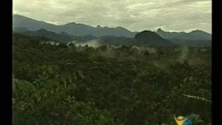 preview picture of video 'Reserva Natural La Planada - Nariño - Colombia'