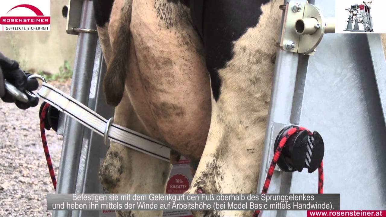 Rosensteiner Top 5 szarvasmarha körmölő kaloda – Professional