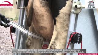 Rosensteiner Top 5 szarvasmarha körmölő kaloda – Professional