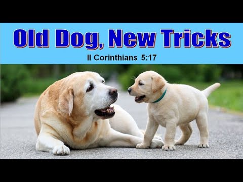 Old Dogs, New Tricks - Sutton Lane church of Christ - Mayfield Kentucky