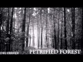 Petrified Forest; Petrified